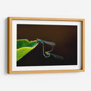 Unión de libélulas | Cuadro decorativo de Canvas Lab