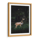 El venado | Cuadro decorativo de Canvas Lab