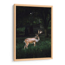 El venado | Cuadro decorativo de Canvas Lab