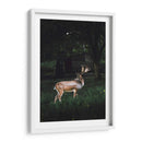 El venado | Cuadro decorativo de Canvas Lab