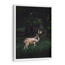 El venado | Cuadro decorativo de Canvas Lab