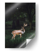 El venado | Cuadro decorativo de Canvas Lab