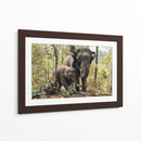 Elefantes, madre e hijo | Cuadro decorativo de Canvas Lab