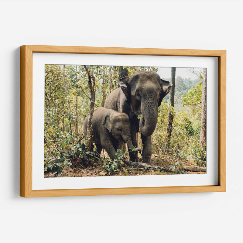 Elefantes, madre e hijo | Cuadro decorativo de Canvas Lab