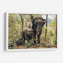 Elefantes, madre e hijo | Cuadro decorativo de Canvas Lab