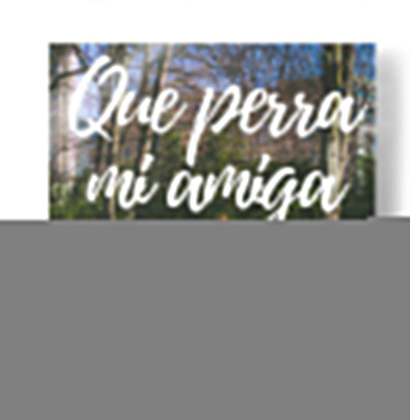 Mi amiga | Cuadro decorativo de Canvas Lab