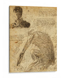 Descripción Titán Colosal - DaVinci Style - Marco Green | Cuadro decorativo de Canvas Lab