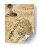 Descripción Titán Colosal - DaVinci Style - Marco Green | Cuadro decorativo de Canvas Lab