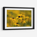 Emerger | Cuadro decorativo de Canvas Lab