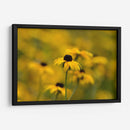 Emerger | Cuadro decorativo de Canvas Lab