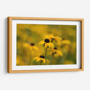 Emerger | Cuadro decorativo de Canvas Lab