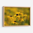 Emerger | Cuadro decorativo de Canvas Lab