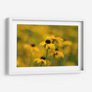 Emerger | Cuadro decorativo de Canvas Lab