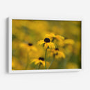 Emerger | Cuadro decorativo de Canvas Lab