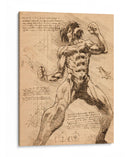 Titán de Ataque Notas - DaVinci Style - Marco Green | Cuadro decorativo de Canvas Lab