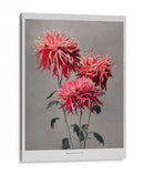 Asa-dsuma-bune - Ogawa Kazumasa | Cuadro decorativo de Canvas Lab