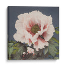 Peonía - Ogawa Kazumasa | Cuadro decorativo de Canvas Lab