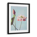 Flores de loto - Ogawa Kazumasa | Cuadro decorativo de Canvas Lab