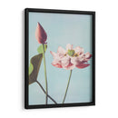 Flores de loto - Ogawa Kazumasa | Cuadro decorativo de Canvas Lab