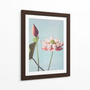 Flores de loto I - Ogawa Kazumasa | Cuadro decorativo de Canvas Lab