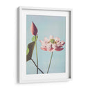Flores de loto - Ogawa Kazumasa | Cuadro decorativo de Canvas Lab
