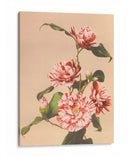Camelias rayadas - Ogawa Kazumasa | Cuadro decorativo de Canvas Lab