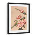 Camelias rayadas - Ogawa Kazumasa | Cuadro decorativo de Canvas Lab