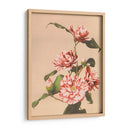 Camelias rayadas - Ogawa Kazumasa | Cuadro decorativo de Canvas Lab