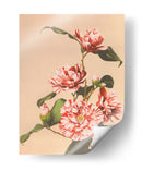 Camelias rayadas - Ogawa Kazumasa | Cuadro decorativo de Canvas Lab