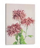 Tres crisantemos rosados - Ogawa Kazumasa | Cuadro decorativo de Canvas Lab