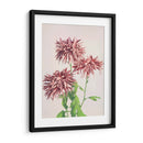 Tres crisantemos rosados - Ogawa Kazumasa | Cuadro decorativo de Canvas Lab