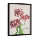 Tres crisantemos rosados - Ogawa Kazumasa | Cuadro decorativo de Canvas Lab