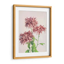 Tres crisantemos rosados - Ogawa Kazumasa | Cuadro decorativo de Canvas Lab