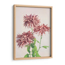 Tres crisantemos rosados - Ogawa Kazumasa | Cuadro decorativo de Canvas Lab