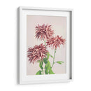 Tres crisantemos rosados - Ogawa Kazumasa | Cuadro decorativo de Canvas Lab