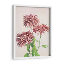 Tres crisantemos rosados - Ogawa Kazumasa | Cuadro decorativo de Canvas Lab