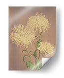 Tres crisantemos amarillos - Ogawa Kazumasa | Cuadro decorativo de Canvas Lab