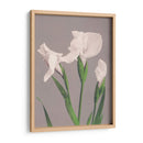 Iris blancos - Ogawa Kazumasa | Cuadro decorativo de Canvas Lab