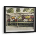 Jardín de crisantemos - I - Ogawa Kazumasa | Cuadro decorativo de Canvas Lab