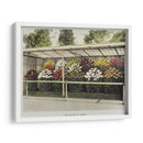 Jardín de crisantemos - I - Ogawa Kazumasa | Cuadro decorativo de Canvas Lab