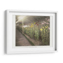 Jardín de crisantemos - II - Ogawa Kazumasa | Cuadro decorativo de Canvas Lab