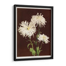 Crisantemos - II - Ogawa Kazumasa | Cuadro decorativo de Canvas Lab