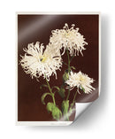 Crisantemos - II - Ogawa Kazumasa | Cuadro decorativo de Canvas Lab