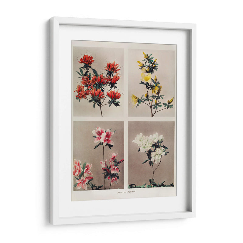 Grupo de azaleas - Ogawa Kazumasa | Cuadro decorativo de Canvas Lab