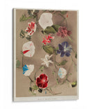 Grupo de glorias de la mañana - Ogawa Kazumasa | Cuadro decorativo de Canvas Lab