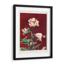 Peonía herdácea - I - Ogawa Kazumasa | Cuadro decorativo de Canvas Lab