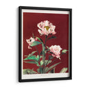 Peonía herdácea - I - Ogawa Kazumasa | Cuadro decorativo de Canvas Lab