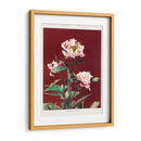 Peonía herdácea - I - Ogawa Kazumasa | Cuadro decorativo de Canvas Lab