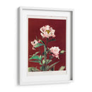 Peonía herdácea - I - Ogawa Kazumasa | Cuadro decorativo de Canvas Lab