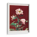 Peonía herdácea - I - Ogawa Kazumasa | Cuadro decorativo de Canvas Lab